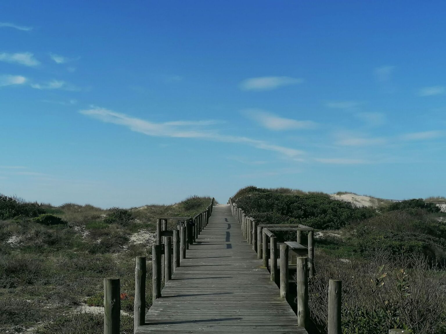 In-den-Duenen-von-Torreira
