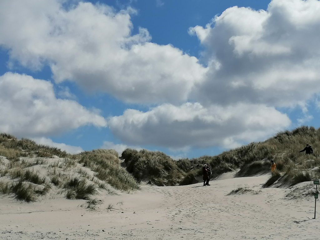 In-den-Sandduenen In-den-Sandduenen