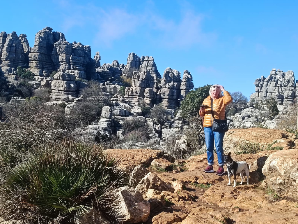 Kleiner-Wanderung-im-Nationalpark Kleiner-Wanderung-im-Nationalpark