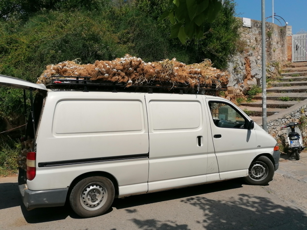 Knoblauchauto-beliefert-die-Restaurants Knoblauchauto-beliefert-die-Restaurants