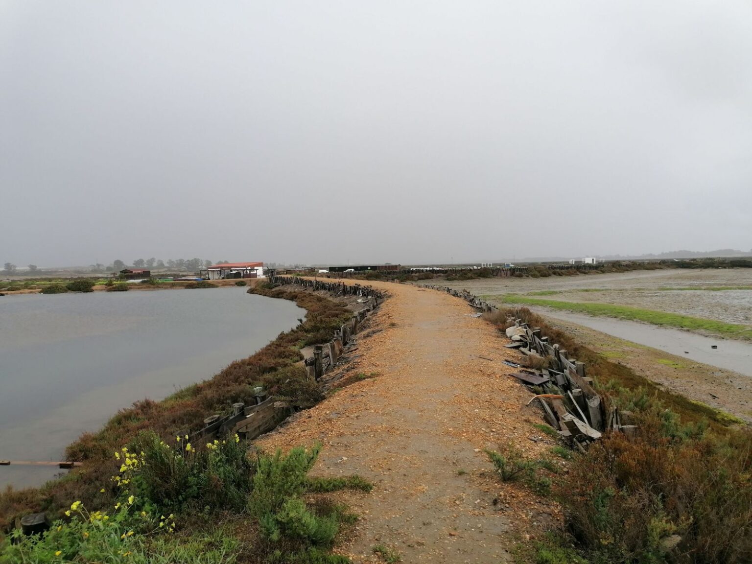 Lagune-und-Sumpfgebiet Lagune-und-Sumpfgebiet