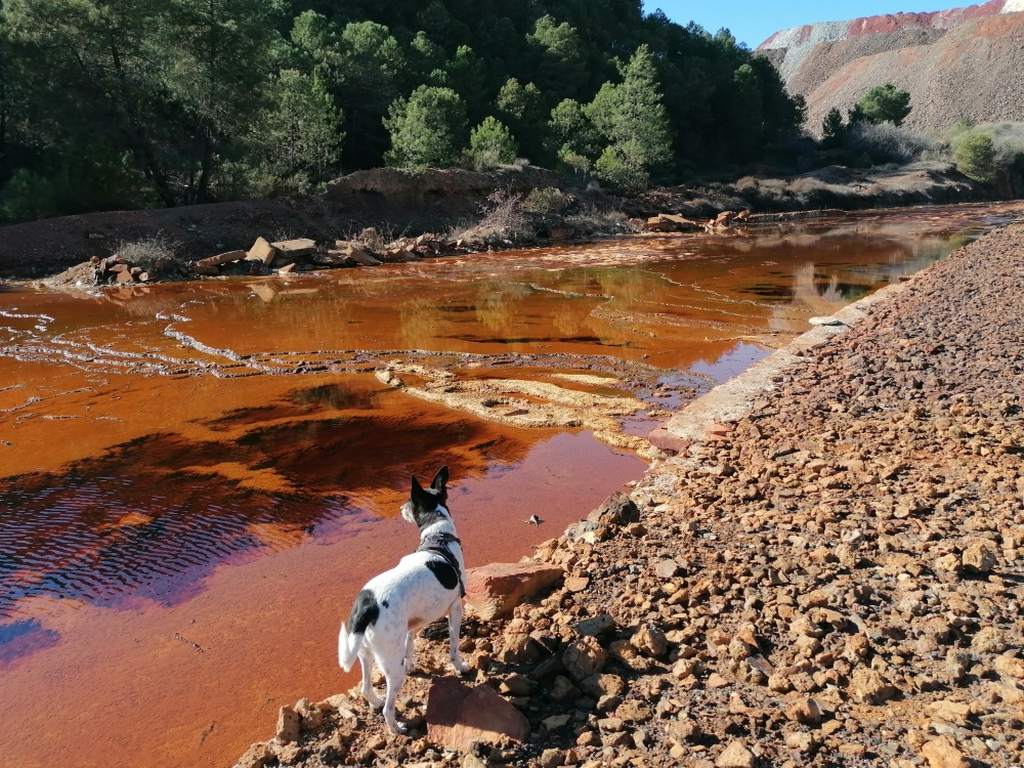 Luki-auf-Erkundung Luki-auf-Erkundung