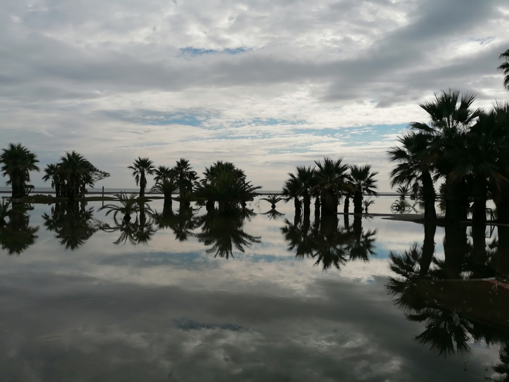 Nach-dem-Hochwasser Nach-dem-Hochwasser