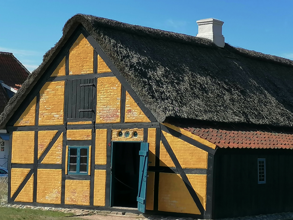 Naturkunde-Museum Naturkunde-Museum