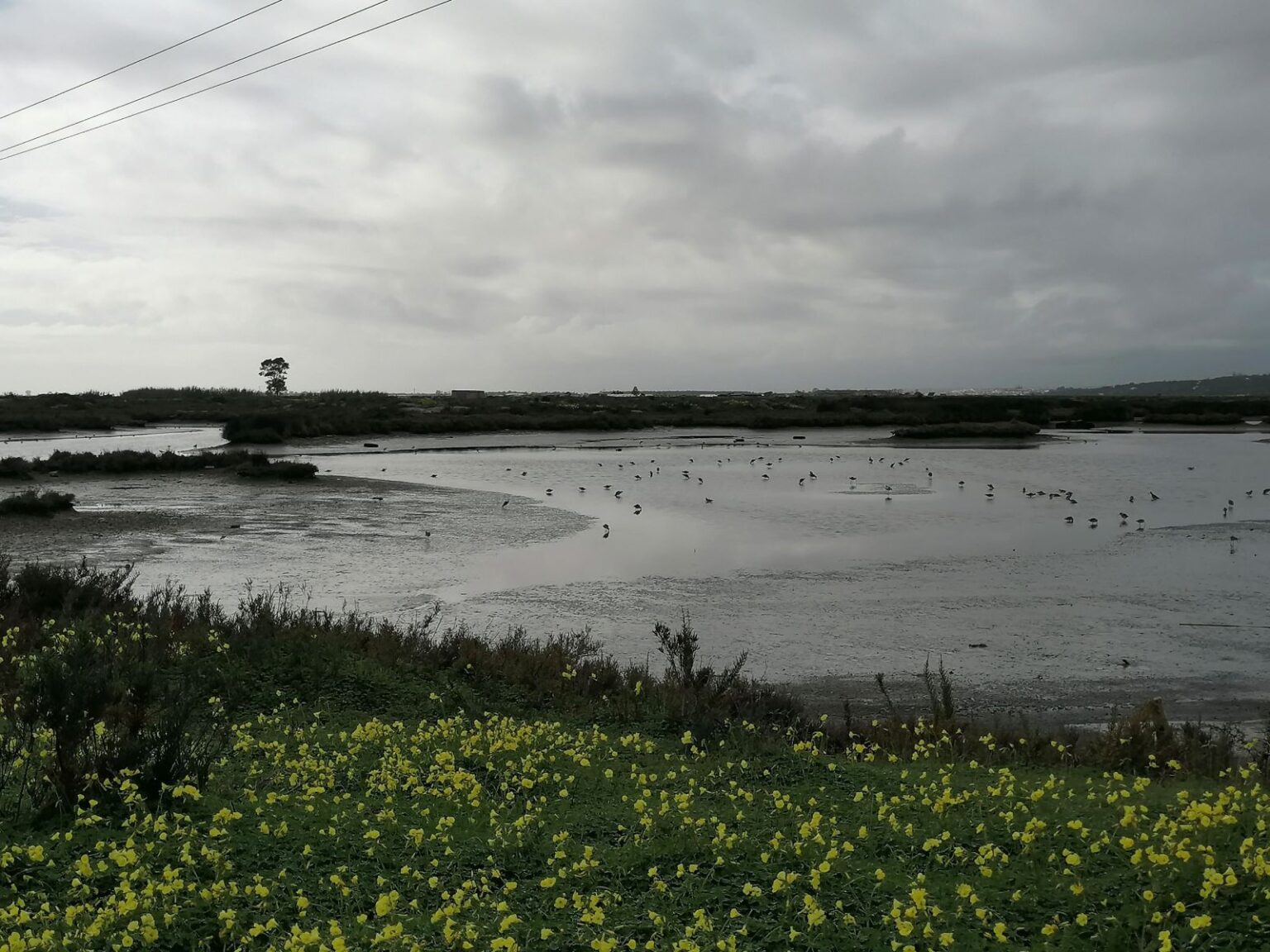 Naturlandschaft Naturlandschaft