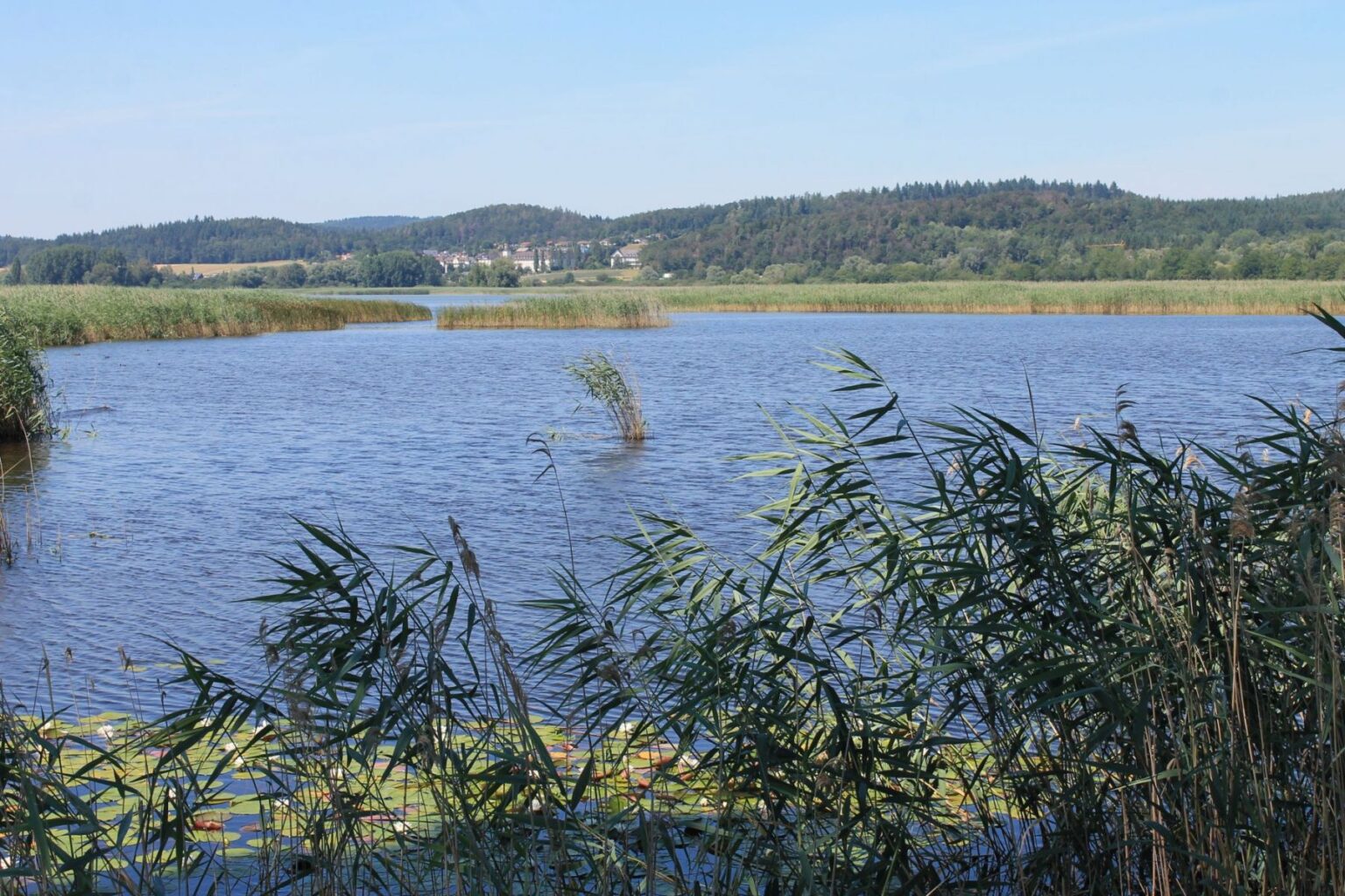 Ried-bei-Reichenau Ried-bei-Reichenau