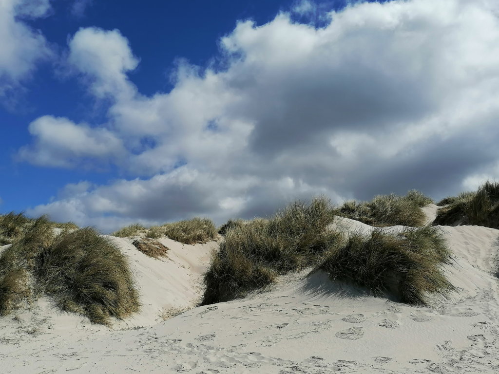 Sandduenen Sandduenen