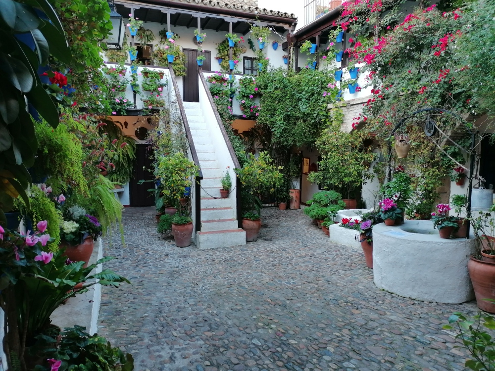 Schoener-Garten-im-Innenhof Schoener-Garten-im-Innenhof