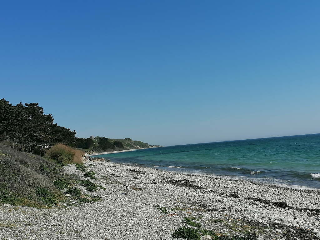 Spaziergang-am-Meer- Spaziergang-am-Meer-
