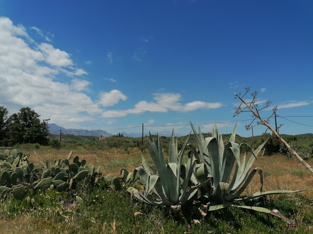 Spaziergang-am-Meer Spaziergang-am-Meer