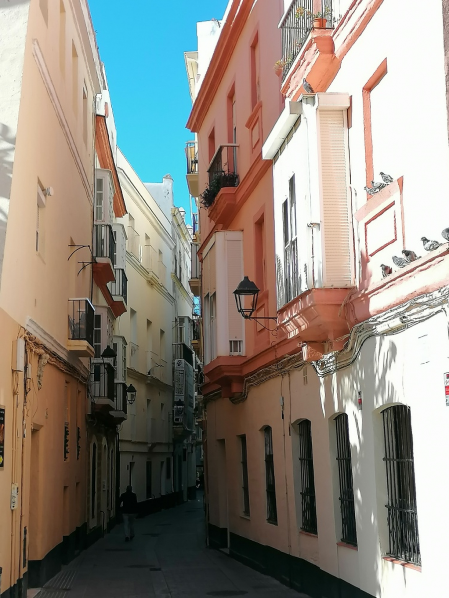 Spaziergang-durch-die-Stadt Spaziergang-durch-die-Stadt