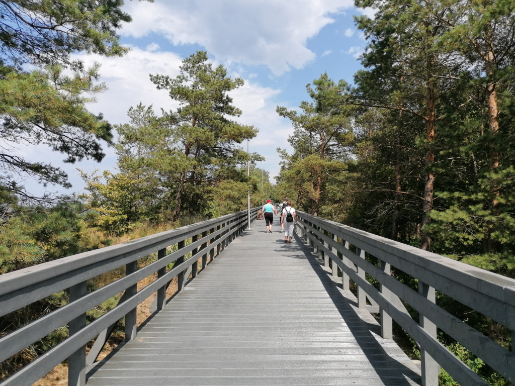 Steg-am-Strand Steg-am-Strand