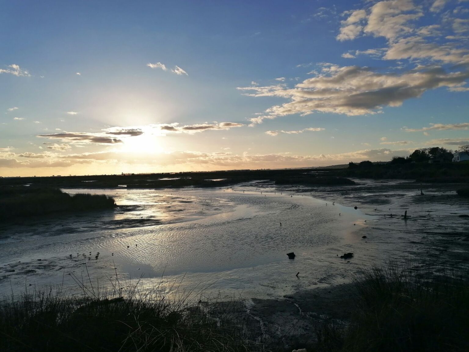 Sumpfgebiet Sumpfgebiet