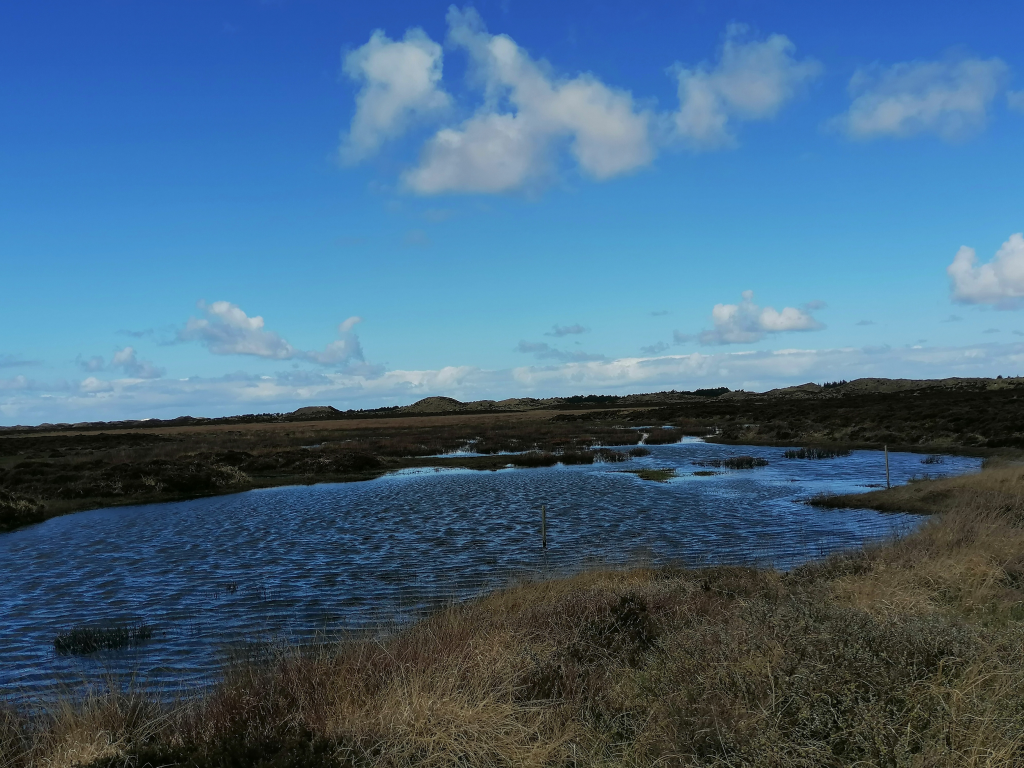 Umland-vom-Filso-See Umland-vom-Filso-See