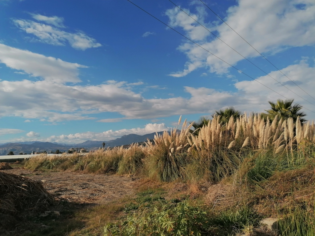 Umland-von-Motril Umland-von-Motril