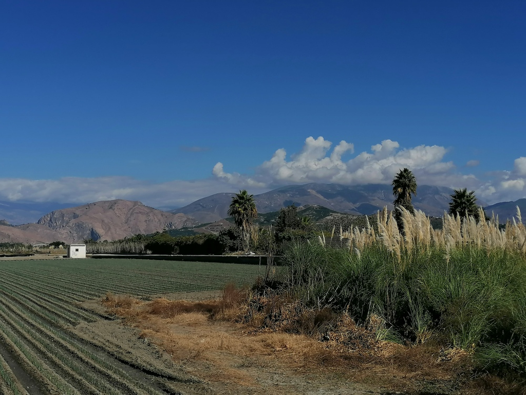 Umland-von-Salobrena Umland-von-Salobrena