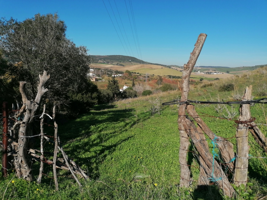 Umland-von-Vejer Umland-von-Vejer