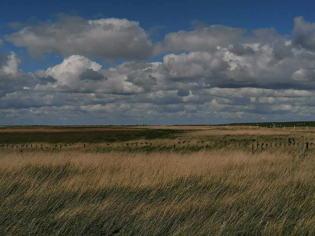 Wattenmeer-bei-Ribe Wattenmeer-bei-Ribe