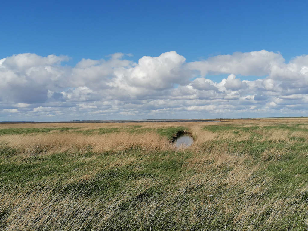 Wattenmeer Wattenmeer
