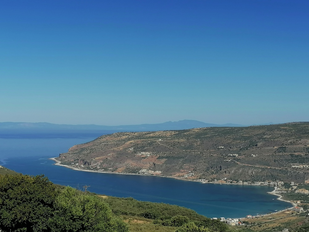 Wilde-Mani Wilde-Mani