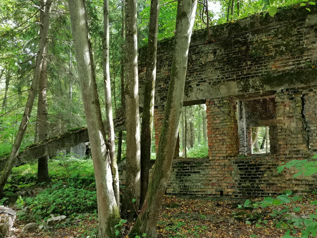 Wolfsschanze Wolfsschanze