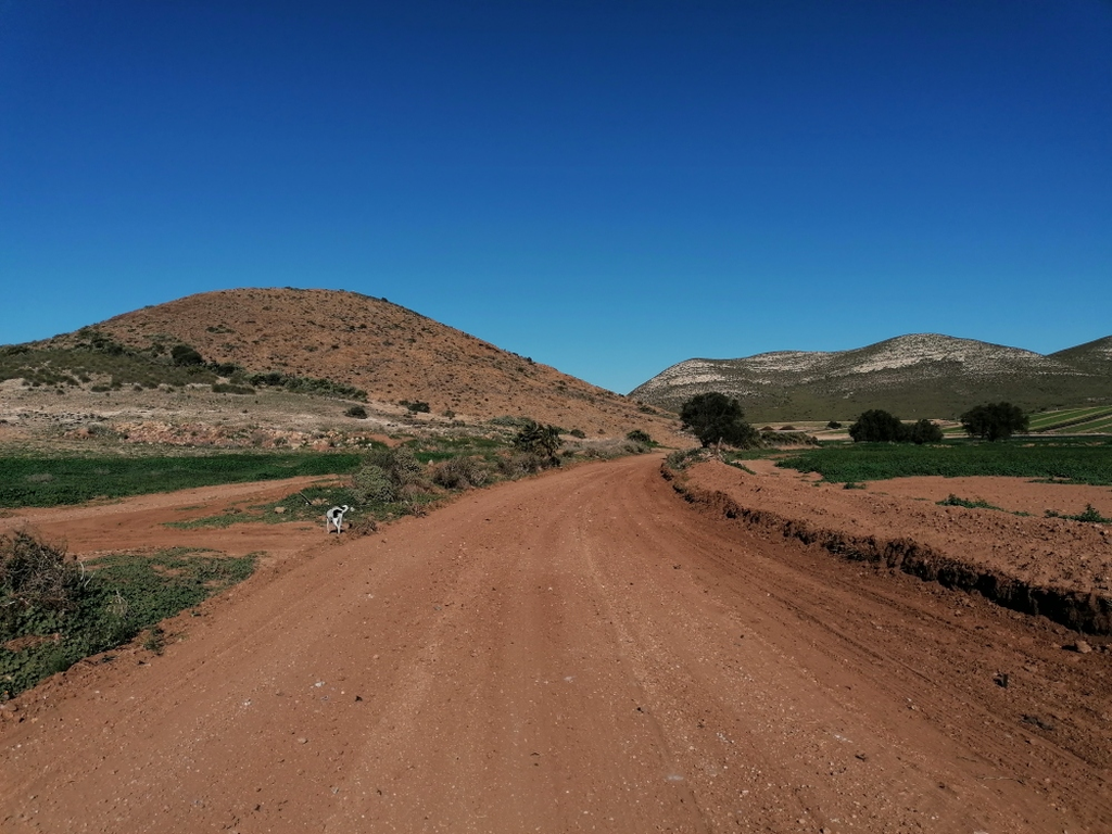 Zufahrt-zum-Moenchshof Zufahrt-zum-Moenchshof