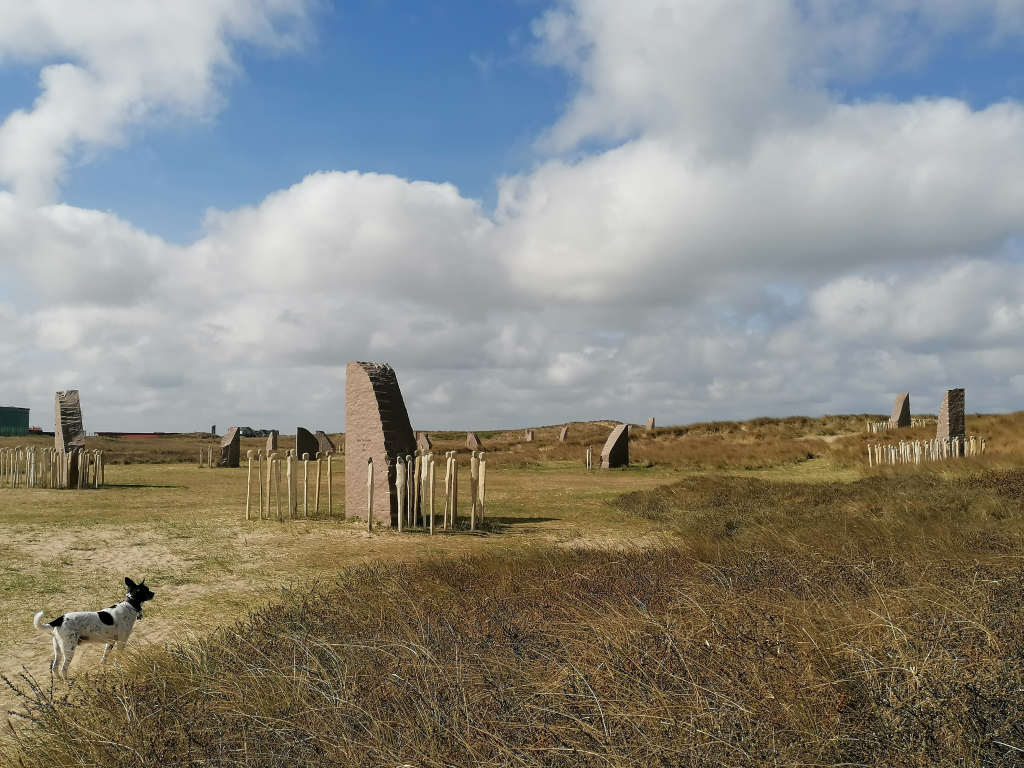 gewidmet-fuer-die-Soldaten gewidmet-fuer-die-Soldaten